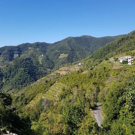 Menta Cinque Terre ヴェルナッツァ